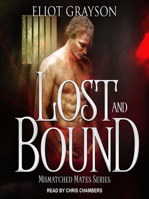 cover image of Lost and Bound